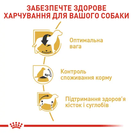 Сухий корм Royal Canin BEAGLE ADULT для дорослих собак породи Бігль 3 кг: додаткове фото 5
