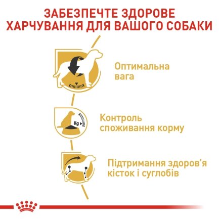 Сухий корм Royal Canin BEAGLE ADULT для дорослих собак породи Бігль 3 кг — Фото 3