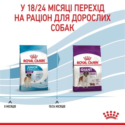 Сухий корм Royal Canin GIANT JUNIOR для дорослих собак гігантських порід 15 кг — Фото 5