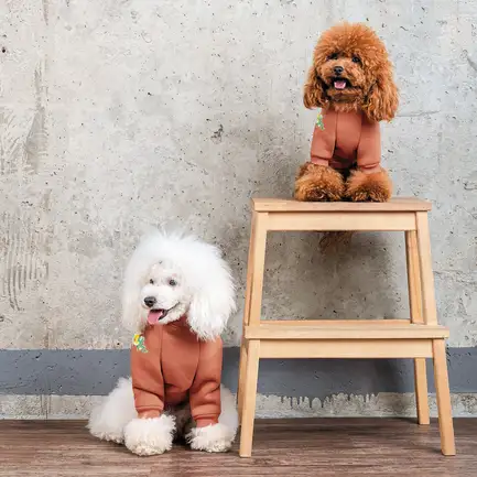 Толстовка Pet Fashion Miley для собак розмір S: додаткове фото 5