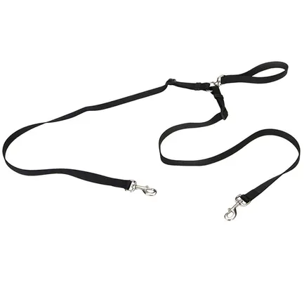Coastal 2 Dog Walker КОСТАЛ ПОВІДЕЦЬ-СПАРКА для 2-х собак 1,6см х 1,2м