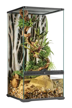 Тераріум Exo Terra Natural Terrarium скляний, 45 x 45 x 90 см: додаткове фото 2