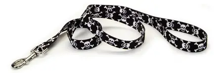Coastal Pet Attire Styles КОСТАЛ СТАЙЛС повідець для собак, 2смХ1.8м Череп