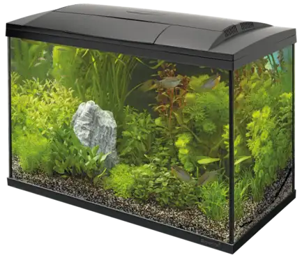 Акваріумний стартовий набір SuperFish Start 100 Aquarium Kit Black (A4050295)