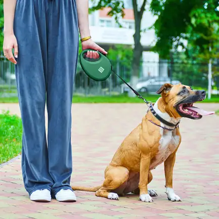Повідець-рулетка для собак WAUDOG R-leash з контейнером для пакетів, світловідбивна стрічка, L, до 40 кг, 5 м, зелений: додаткове фото 2