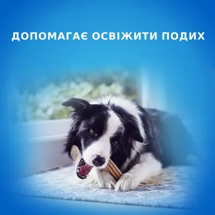 Ласощі DENTALIFE Medium для дорослих собак середніх порід для здоров'я зубів і ясен 115 г: додаткове фото 3