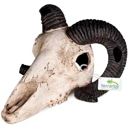 Декорація череп барана Terrario Ram Skull 19x16x11см (191712): додаткове фото 5
