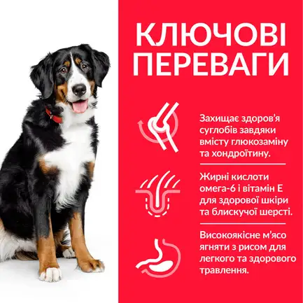 Hill’s Science Plan Adult Large Breed Сухий корм для дорослих собак великих порід, з ягням і рисом, 14 кг: додаткове фото 3