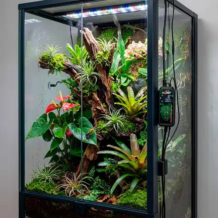 Цифровий контролер вологості для тераріума Hobby Biotherm Hygro Control (10887): додаткове фото 4