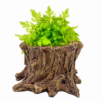 Декорація Hobby Wildwood Stump 15×14,5×9 см - декоративний пень, поїлка, горщик для тераріуму (40849): додаткове фото 4