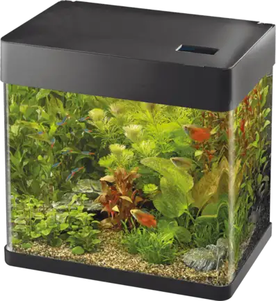 Акваріум скляний - Superfish Panorama 35 LED BLACK (A4052035)