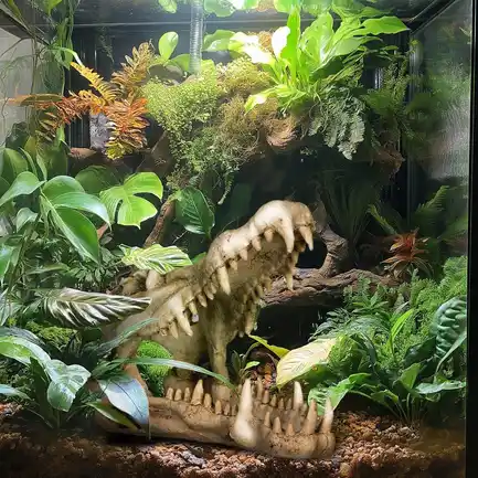 Декорація череп крокодила Terrario Crocodile Skull XL 23x11x16см (251115): додаткове фото 4