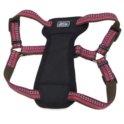 Coastal K9 Explorer Harness КОСТАЛ К9 ЕКСПЛОРЕР світловідбивна шлея з нагрудником для собак 2.3-4.5кг Малиновий