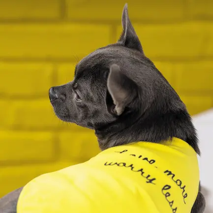 Борцівка Pet Fashion «Puppy» для собак, розмір XS2, жовта: додаткове фото 6