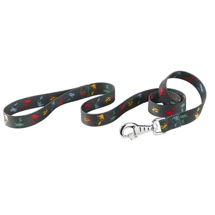 Ferplast CLUB G25/120 CIRCUS Повідець, нейлон