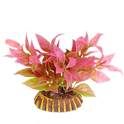 Акваріумна рослина Aquatic Plants, 8 см х 8 шт / уп (0804)