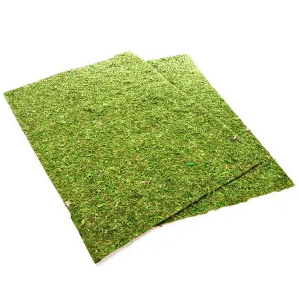 Фон моховий Repti-Zoo Natural Moss Back & Bottom 60x45см 2шт. (NCM6045): додаткове фото 5