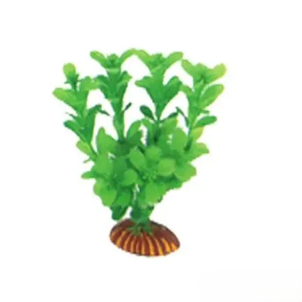 Aquatic Plants (Акватик Плэнтс) Акваріумна рослина, 16 см х 8 шт/уп