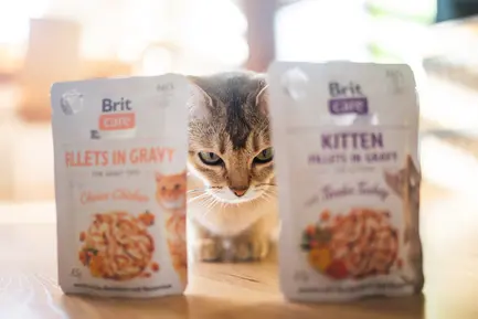 Вологий корм для кошенят Brit Care Kitten Fillets in Gravy Tender Turkey філе в соусі індичка, 85 г: додаткове фото 3