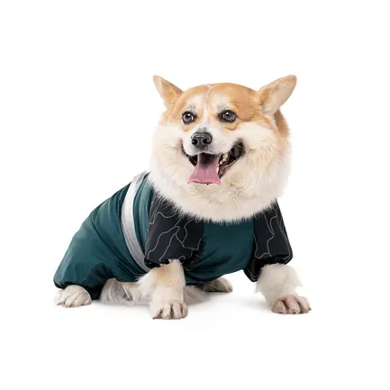 Комбінезон Pet Fashion Den для собак M2: додаткове фото 3