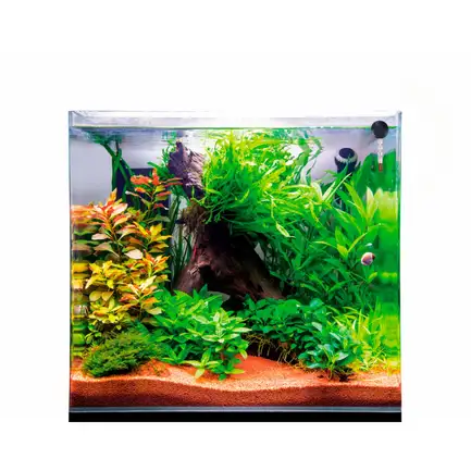 Акваріум з ультрабілого скла Dupla Scaping Cube 10 20x20x30см (80890): додаткове фото 6