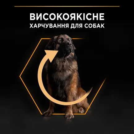 Сухий корм PRO PLAN Large Robust Adult 2+ Everyday Nutrion для дорослих собак великих порід масивної статури з куркою 14 кг: додаткове фото 6
