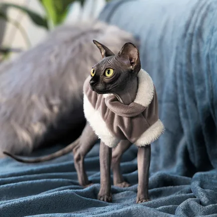 Светр Pet Fashion «Tom» для кота, розмір L, капучіно: додаткове фото 4