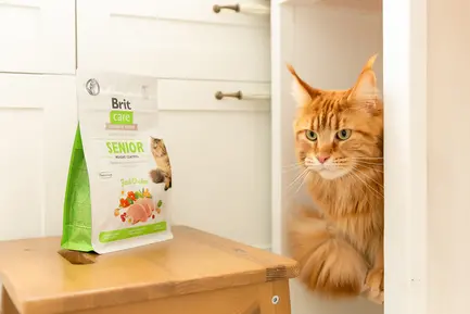 Сухий корм Brit Care Cat GF Senior Weight Control для котів похилого віку з надмірною вагою, курка, 400 г: додаткове фото 5