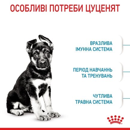 Сухий корм Royal Canin MAXI PUPPY для цуценят великих порід 1 кг — Фото 3