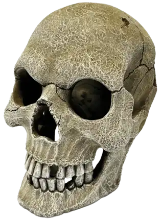 Декорація для акваріума REPTO DECO HUMAN SKULL XL (R5100160)