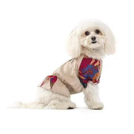 Сорочка Pet Fashion Соломія для собак дівчинка бежева S: додаткове фото 2