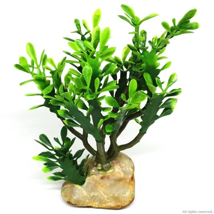 Штучна рослина кактус Hobby Euphorbia M 15x7x17см (36999): додаткове фото 2