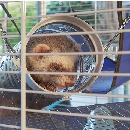 Ferplast CAGE FURET TOWER Клітка для тхорів: додаткове фото 5