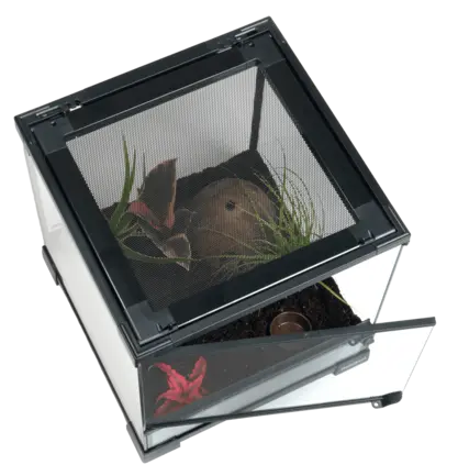 Тераріумний стартовий набір HABISTAT SPIDER STARTER KIT (R1100290): додаткове фото 2