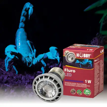 Ультрафіолетова лампа LED для тераріумів Hobby Fluro LED 1 W (37600): додаткове фото 5