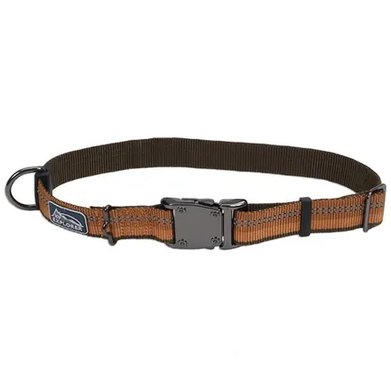 Coastal K9 Explorer Collar КОСТАЛ К9 ЕКСПЛОРЕР світловідбивний нашийник для собак, 2.5х46-66см Полум’я