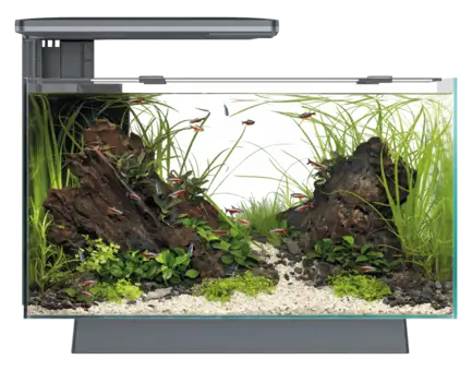 Акваріумний набір SuperFish Quadro 40 Pro Black (A4052205)