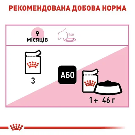Вологий корм Royal Canin KITTEN STERILIZED для кошенят всіх порід 85 г: додаткове фото 2