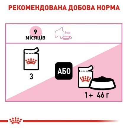 Вологий корм Royal Canin KITTEN STERILIZED для кошенят всіх порід 85 г — Фото 1