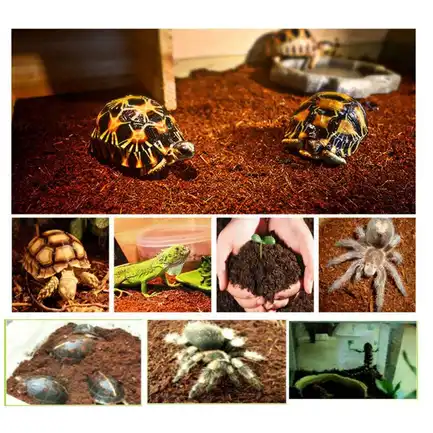 Субстрат тропічний Komodo Tropical Terrain 6л (U46015): додаткове фото 3