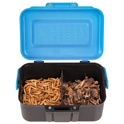 Подвійний контейнер для живого корму Terrario Live Food Box 13x9x7см: додаткове фото 8