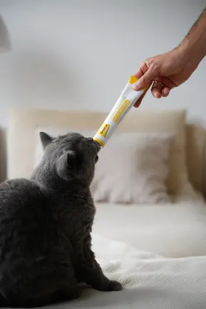 Паста для котів GimCat Cheese Biotin Paste cирна з біотином, 100 г: додаткове фото 4