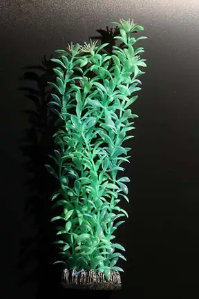 Акваріумна рослина Aquatic Plants флуоресцентне, 30 см (30088Y)