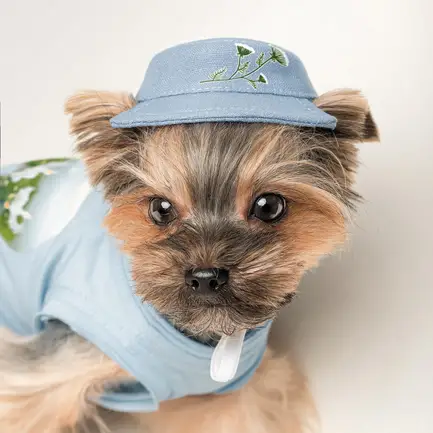 Панама Pet Fashion для собак Blue S: додаткове фото 4
