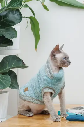 Светр для кота Tim М: додаткове фото 3