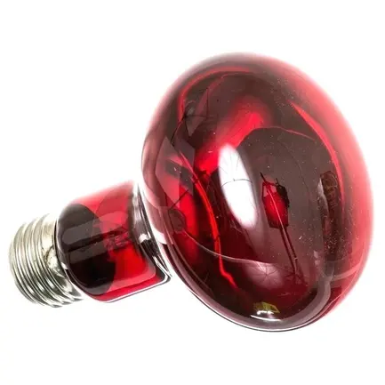 Інфрачервона нагрівальна лампа Repti-Zoo Infrared Heat 50W (R63050): додаткове фото 6