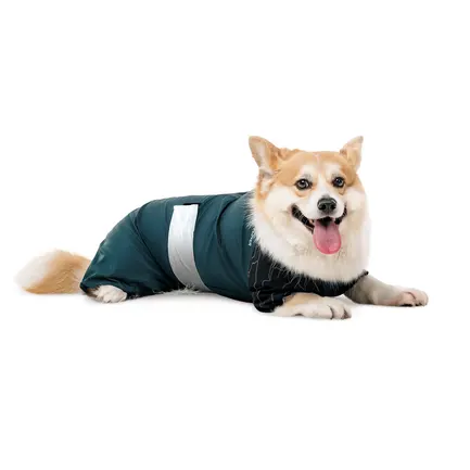 Комбінезон Pet Fashion Den для собак M2: додаткове фото 2