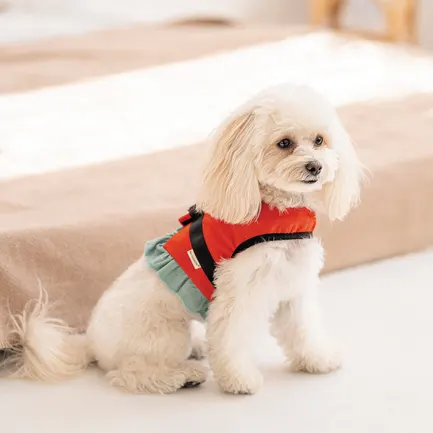Шлея Monika ТМ Pet Fashion для собак XS2 червона: додаткове фото 5