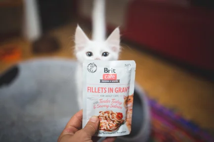 Вологий корм Brit Care Cat Pouch для котів, філе в соусі, ніжна індичка і пікантний лосось, 85 г: додаткове фото 3