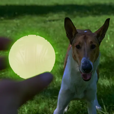 Іграшка для Собак Skipdawg Glow Ball Світлонакопичувальний М'яч 7 см M: додаткове фото 4